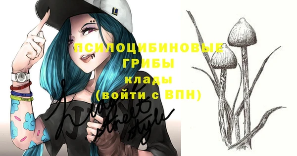 бошки Волосово