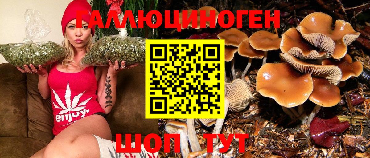 Галлюциногенные грибы MAGIC MUSHROOMS Рузаевка