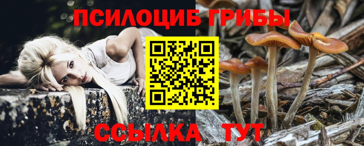Галлюциногенные грибы GOLDEN TEACHER  даркнет сайт  Псилоцибиновые грибы мицелий  Рузаевка  Вход с VPN 